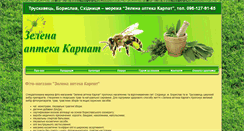 Desktop Screenshot of green-karpaty.com